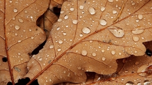 METEO 24 SEPTEMBRIE! Ce temperaturi se înregistrează duminică