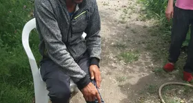 Galerie foto - poza 3