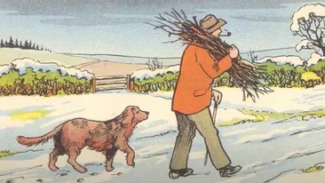 Test de inteligență | În această poză s-a strecurat o greșeală. Descoperiți-o în cel mult 5 secunde!