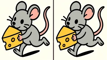 TEST IQ | Identificați toate cele 3 diferențe dintre acești doi șoareci!