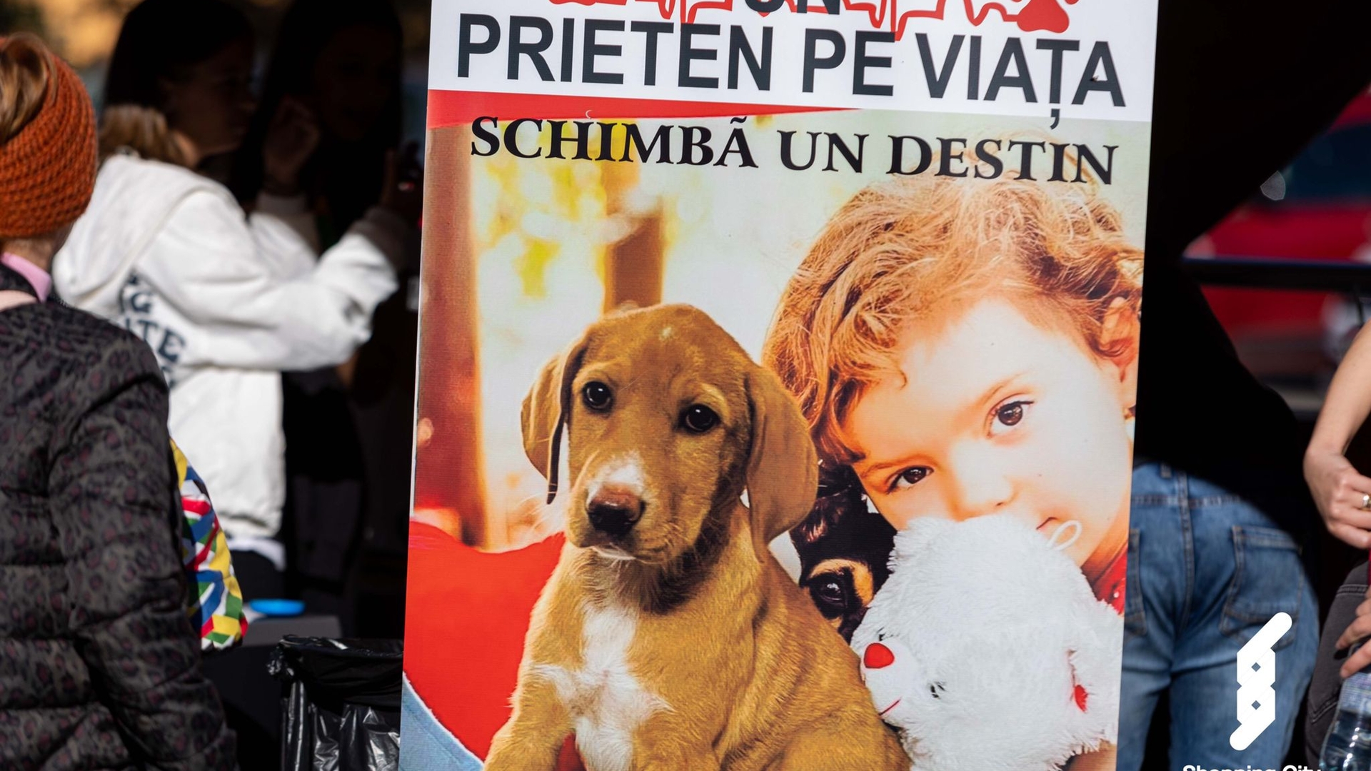 Ruby, Noaptea Târziu și Niculina Stoican au participat la cel mai mare gest umanitar al anului! Pentru ce au militat artiștii?!