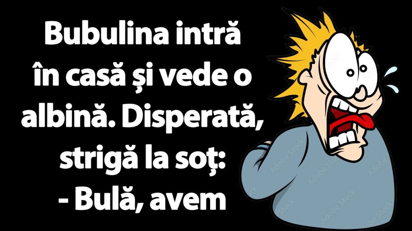 BANC | Bubulina intră în casă și vede o albină
