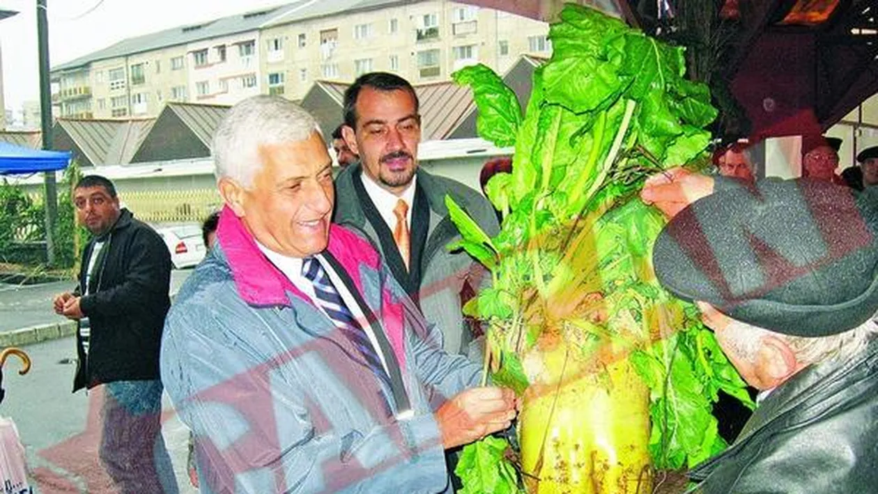Primarul Focsaniului a primit o sfecla uriasa de la tatal petitoarei sale