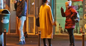 Galerie foto - poza 3