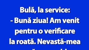 BANC | Bulă, la service: "Am venit pentru o verificare la roată"