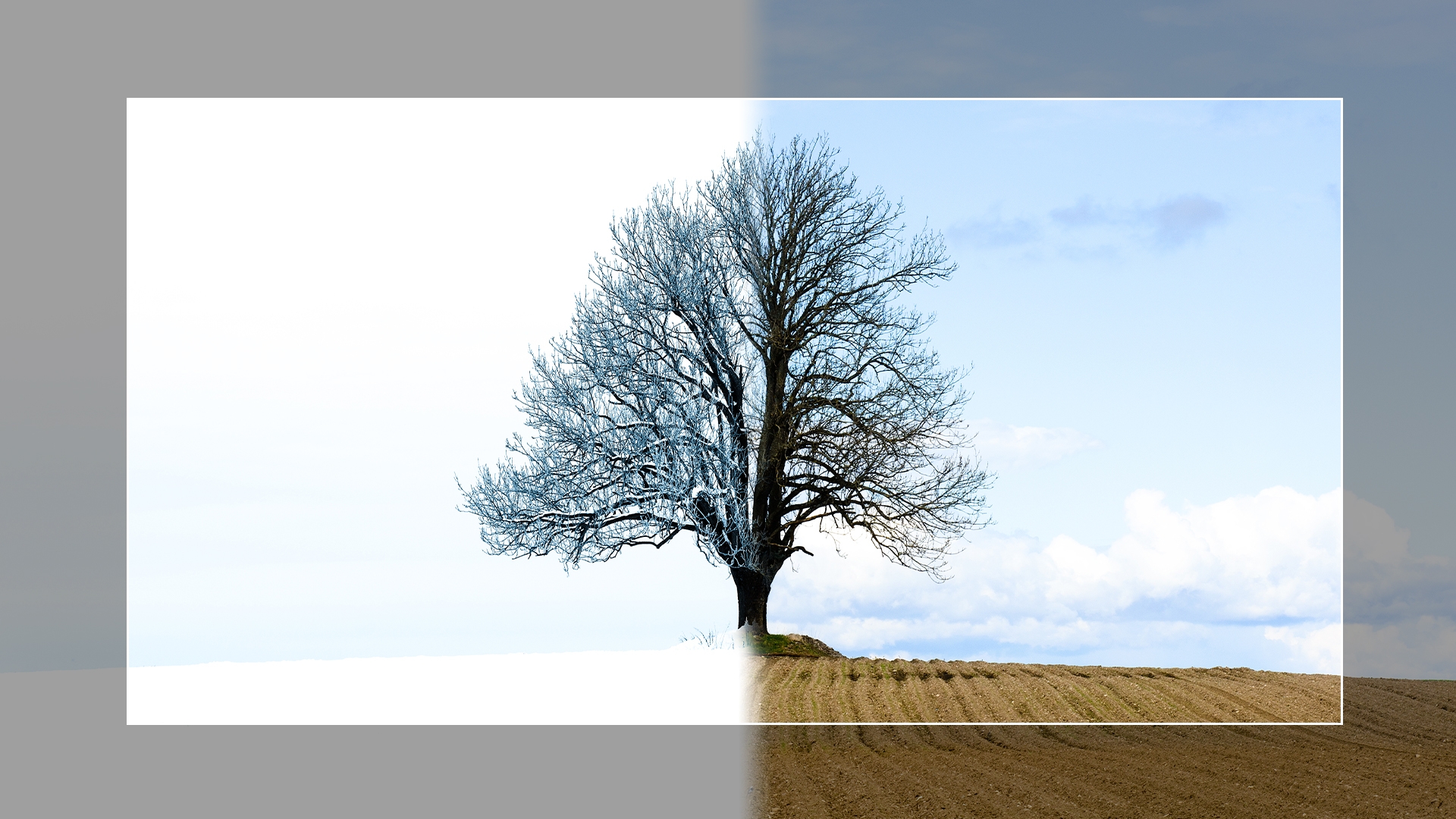 Vremea se schimbă radical în această iarnă. Fenomenul care îi îngrijorează pe meteorologi