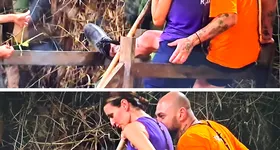 Galerie foto - poza 2