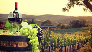 Ideea inedită a viticultorilor italieni ajunși în pragul falimentului din cauza crizei provocată de coronavirus! Vin transformat în gel dezinfectant