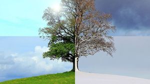 Orașul din România care a avut 2 anotimpuri în aceeași zi! De la iarnă, la primăvară și apoi iar IARNĂ