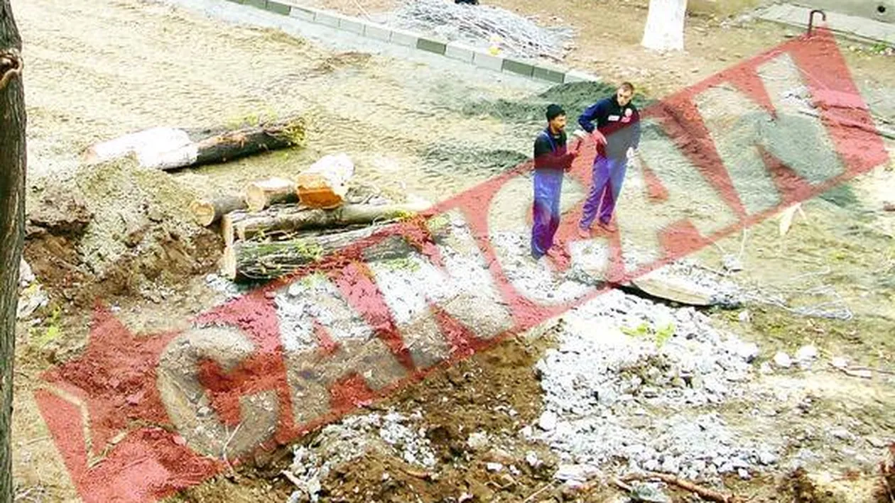 Primarul Negoita a masacrat un parculet din sectorul 3