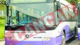 Timisorenii, asigurati pe viata de Regia de Transport Public