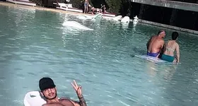 Galerie foto - poza 1