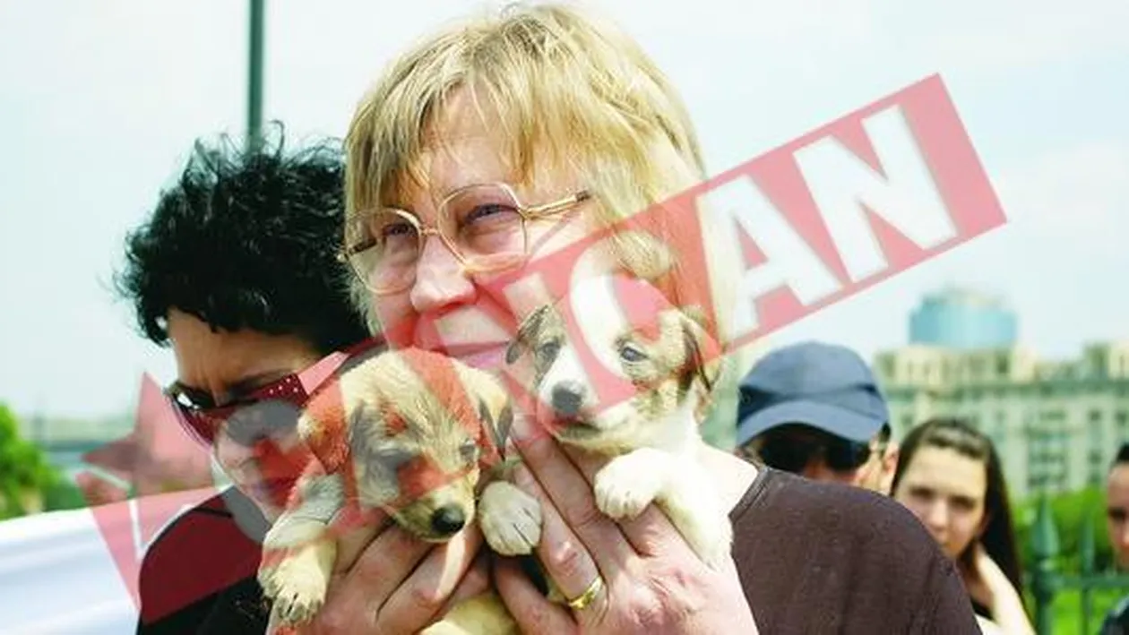 Au iesit in strada ca sa apere animalele