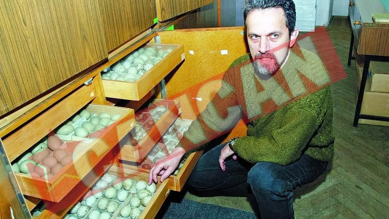 Colectie de oua interzise la Oradea