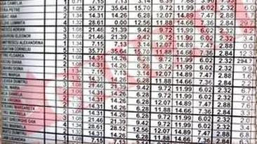 Mihai Petre are datorii de peste o suta de milioane lei vechi