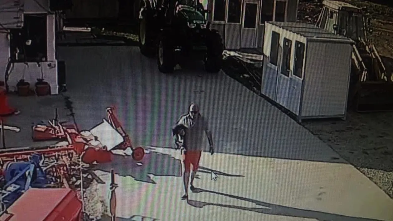 Au furat câinele unei familii din Pielești, Dolj, dar au uitat de camerele de supraveghere. Păgubitul speră ca hoții să fie recunoscuți