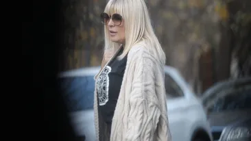 Averea Elenei Udrea, scoasă la vânzare de către ANAF. Cu cât poți cumpăra un Mercedes S Class ce i-a aparținut fostei politiciene