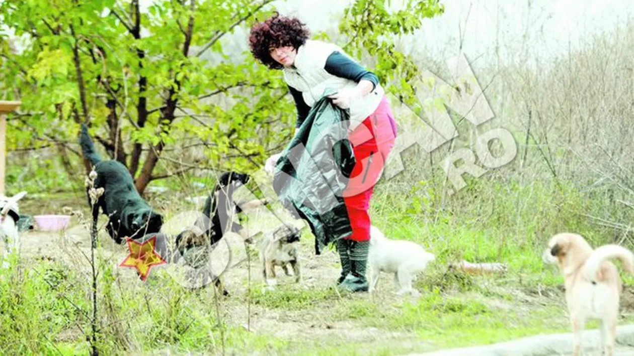 Traieste cu Loredana si cu sapte caini! Bodo are casa plina!