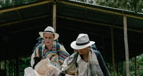 Galerie foto - poza 2