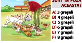 Galerie foto - poza 4