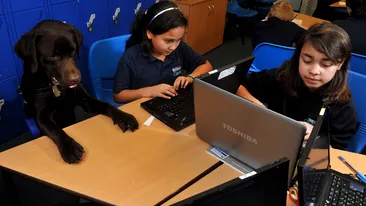 Un catel merge la scoala cot la cot cu copiii