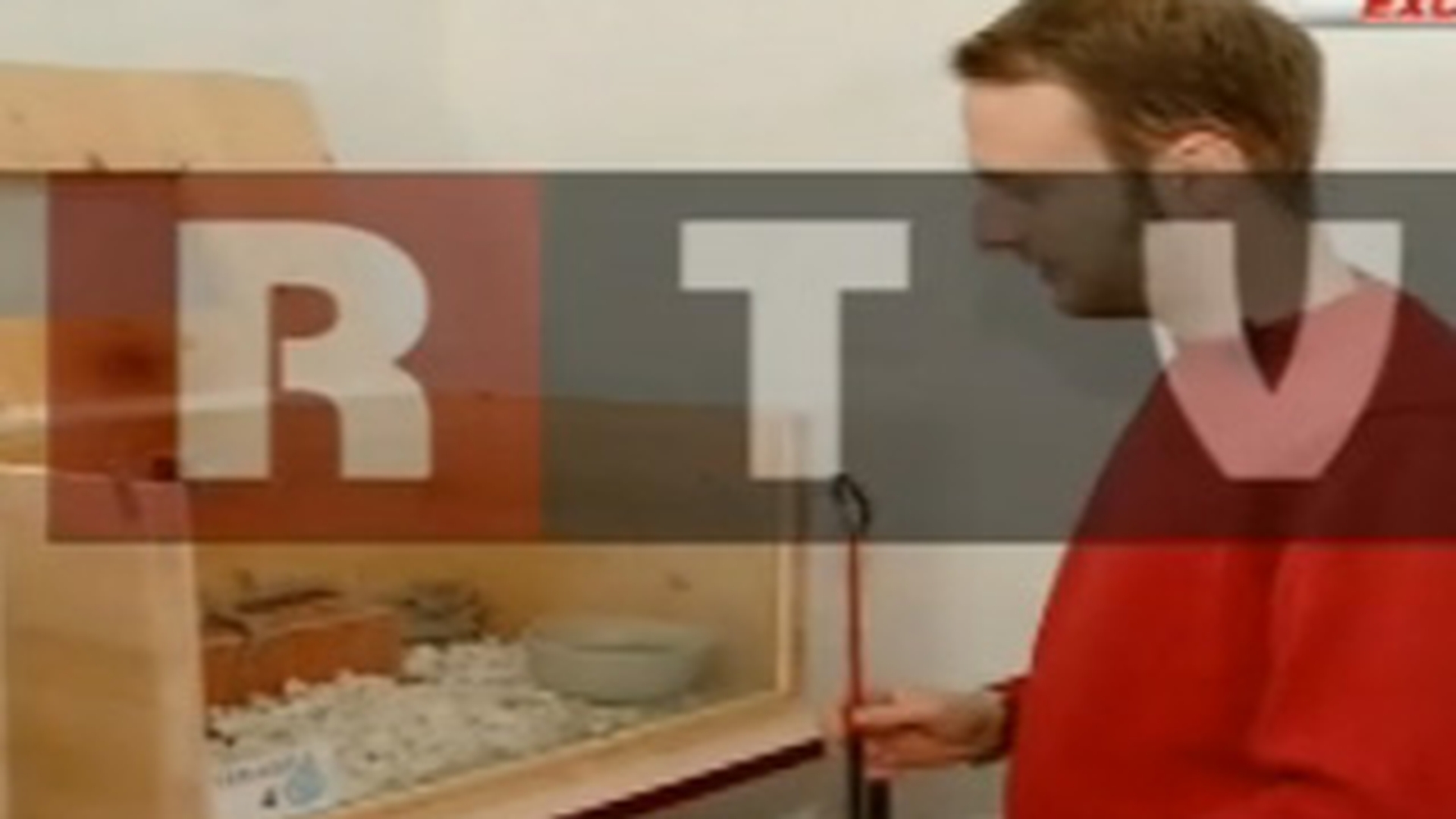 VIDEO TERIFIANT! Vezi aici cum a fost muscat Andrei Tinu de vipera in timp ce voia sa ii extraga veninul