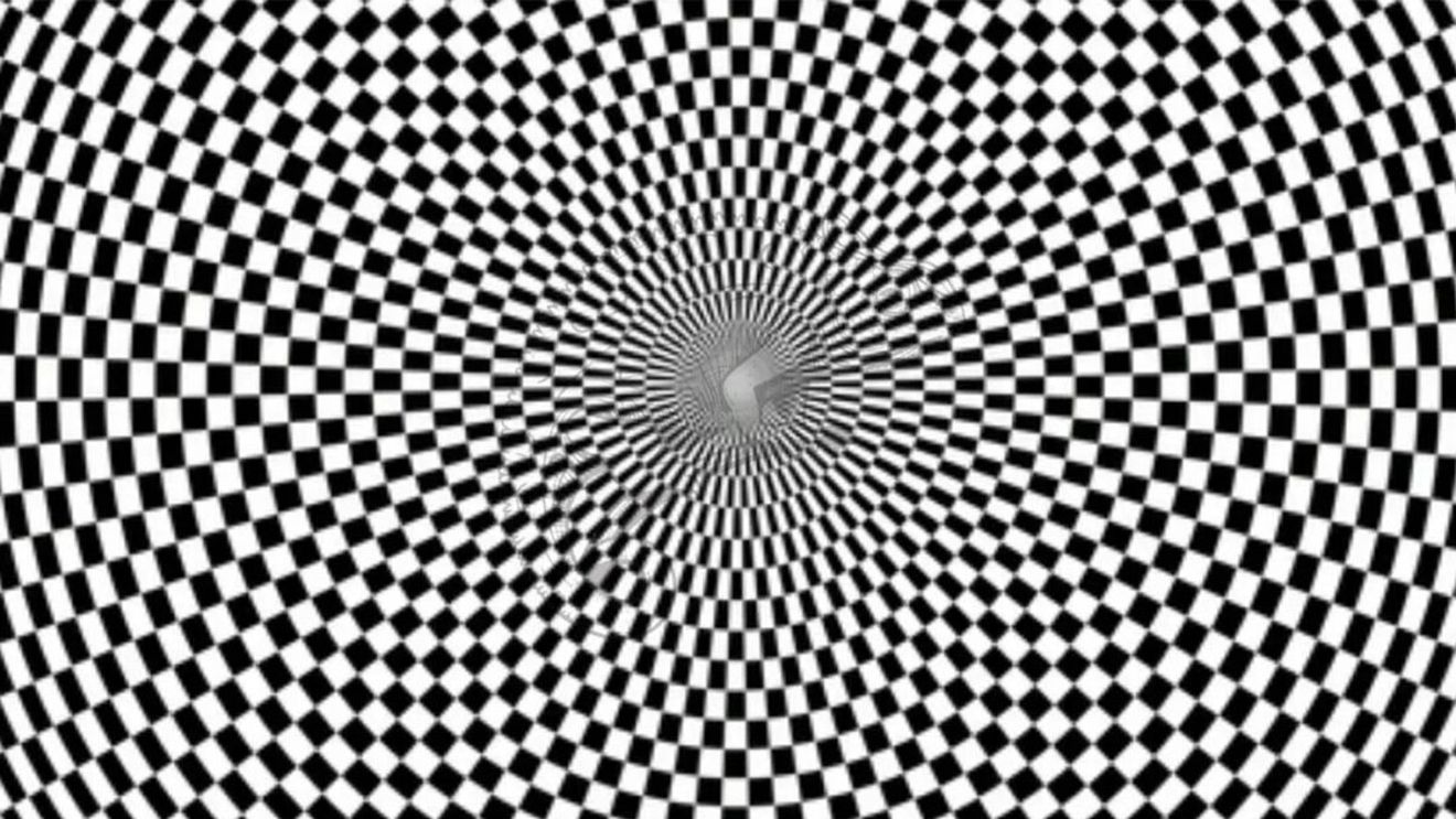 Testul IQ la care 99% se lasă bătuți | Ce animal se ascunde în această iluzie optică virală?