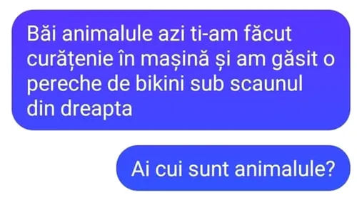 Bancul sfârşitului de săptămână | Băi, animalule, azi ţi-am făcut curat în maşină