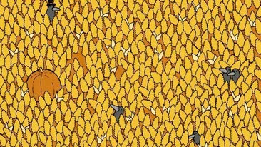 Test IQ | Numai cei cu ochi ageri văd unde se ascunde para, în doar 15 secunde!