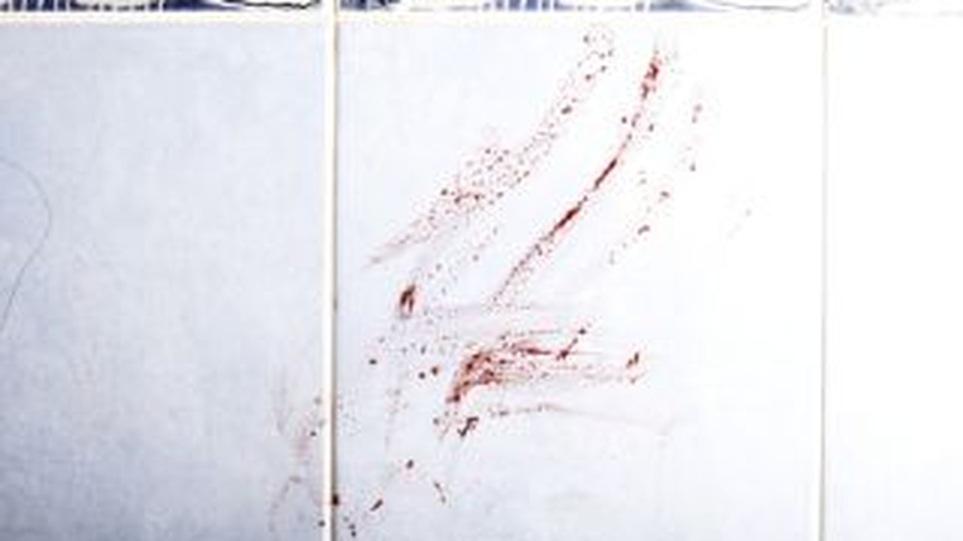 Crima odioasa in Republica Moldova: un bebelus de noua luni a fost omorat cu cruzime si abandonat in cada