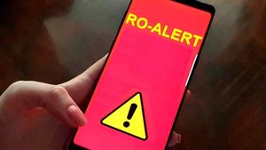 Mesajul Ro-Alert primit de români în această dimineață! NU ieșiți din case
