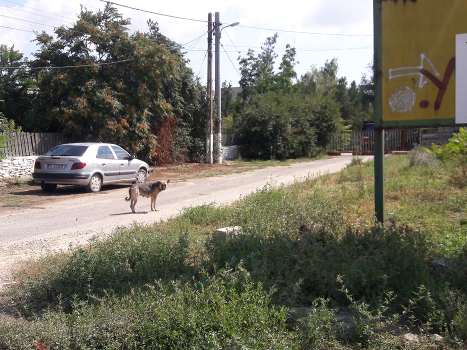 Ruinele de la Vadu, o industrie de vârf lăsată de izbeliște în ultimele trei decenii