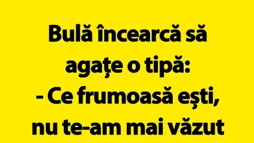 BANC | Bulă și femeia misterioasă: Unde ai fost toată viața mea?