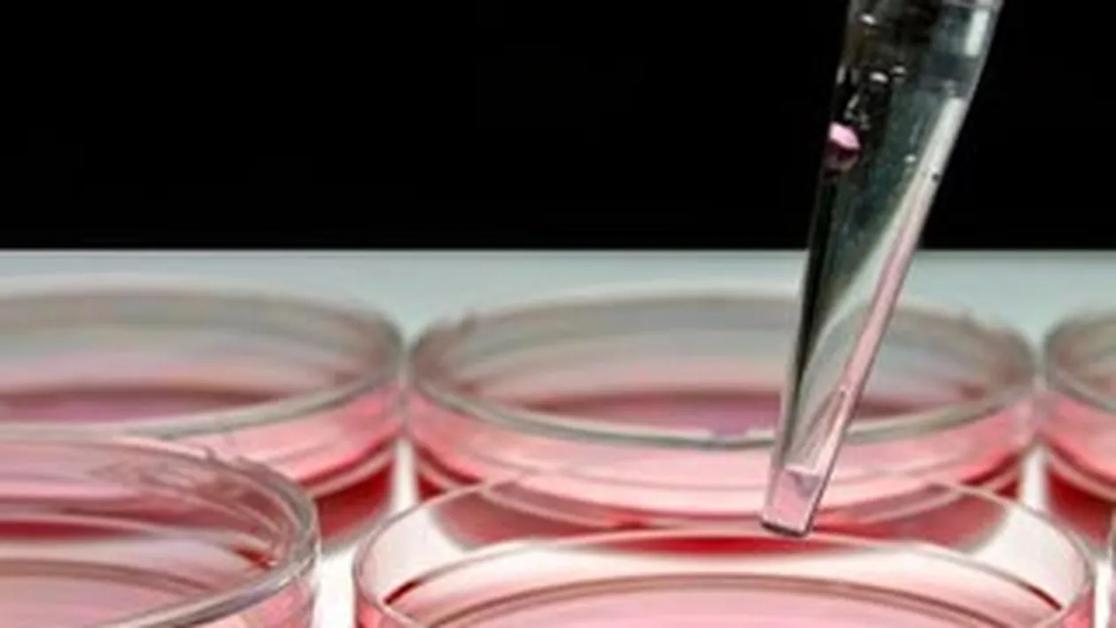 Cercetatorii avertizeaza! NDM-1, o enzima periculoasa care ameninta lumea!