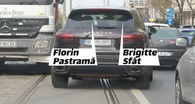 Galerie foto - poza 4