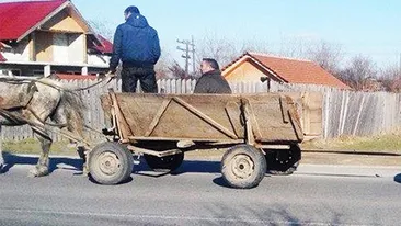 Soferii au ramas uimiti! Ce trage, de fapt, in spatele ei caruta din imagine
