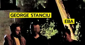 Galerie foto - poza 2