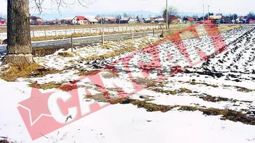 Cum putem castiga bani