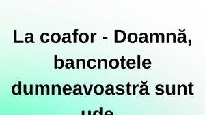 BANC | La coafor: "Doamnă, bancnotele dumneavoastră sunt ude"