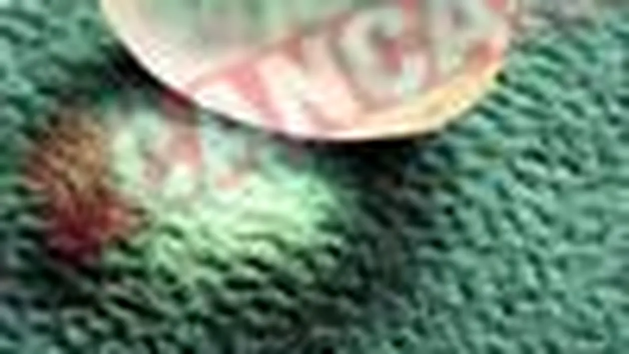 Cat costa un implant de testicule cu silicon