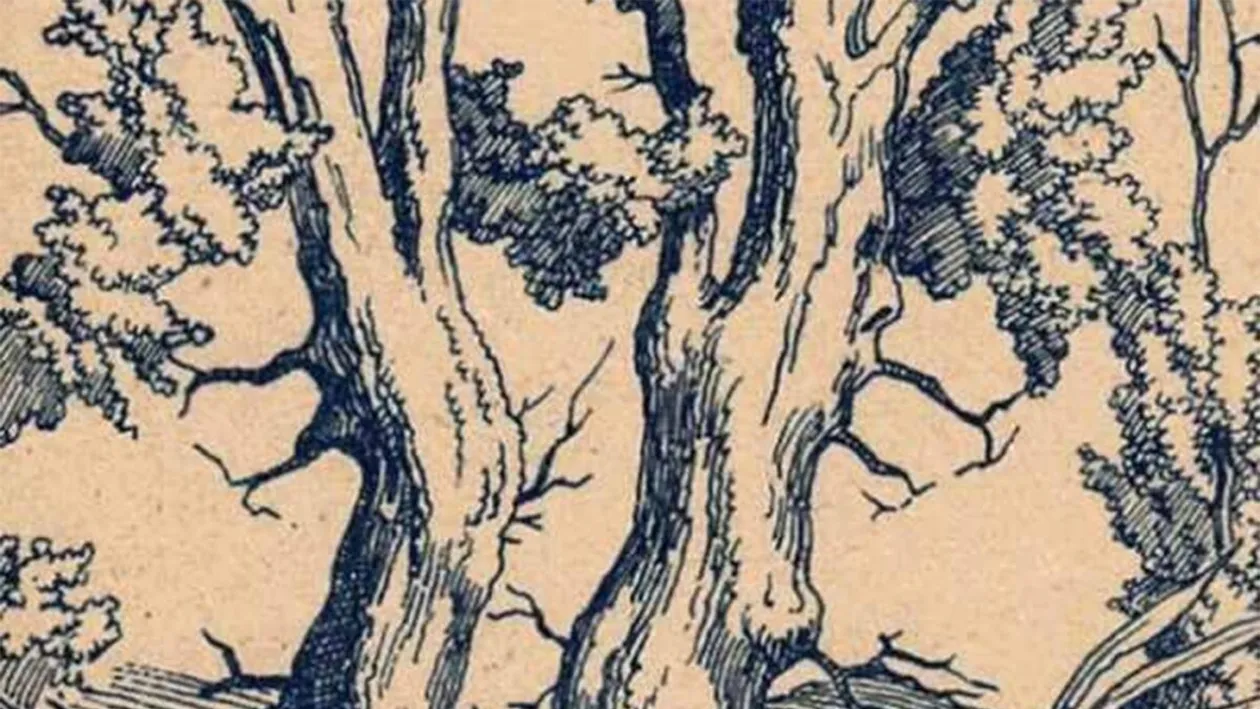 Iluzie optică virală | Ești un geniu dacă poți identifica 3 chipuri umane în această fotografie