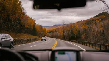 N-o să-ți vină să crezi! Pentru ce sunt folosite punctele negre de pe parbrizul mașinii