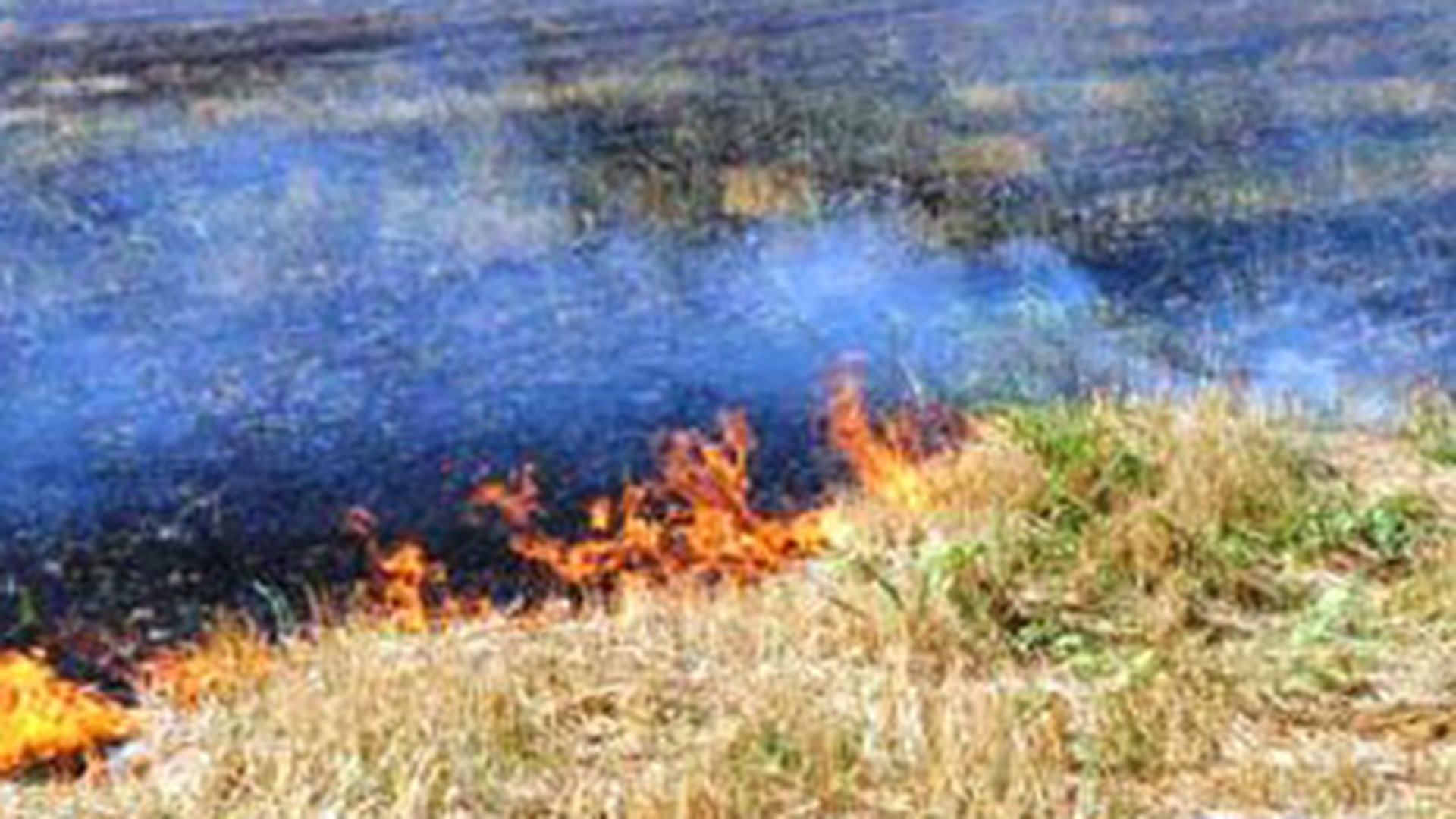 Un incendiu a devastat 1.800 de hectare de teren in estul Spaniei