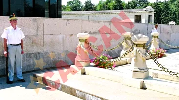 Canicula si tantarii ne omoara