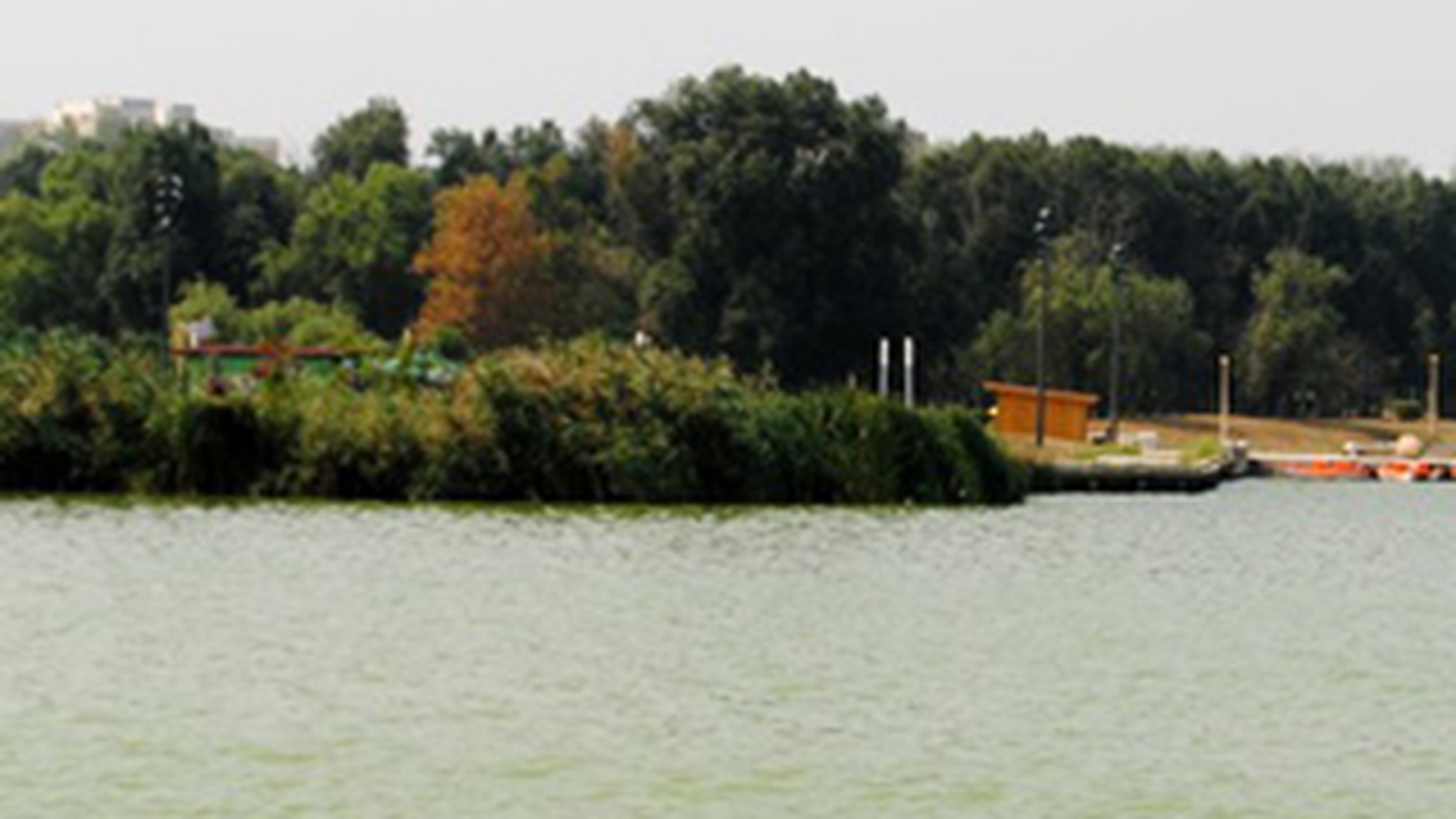 O pacienta de la sectia de psihiatrie a spitalului din Constanta a murit inecata in Lacul Siutghiol