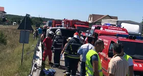 Galerie foto - poza 3