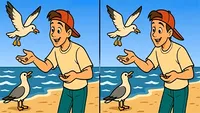 Test de logică | Găsiți 3 diferențe între aceste două fotografii! Recordul este de 29 de secunde