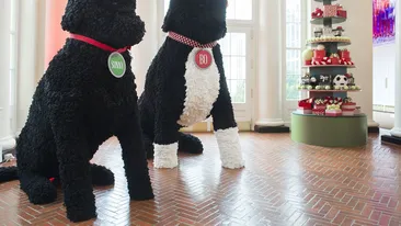 Ultimul Crăciun la Casa Albă! Cum arată decoraţiunile prezentate de MICHELLE OBAMA:''Tot ceea ce vedeţi se poate mânca '' 