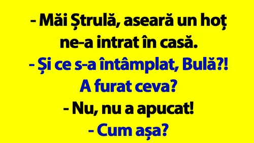 BANC | Bulă, Bubulina și hoțul ghinionist