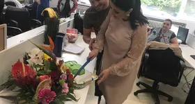 Galerie foto - poza 2